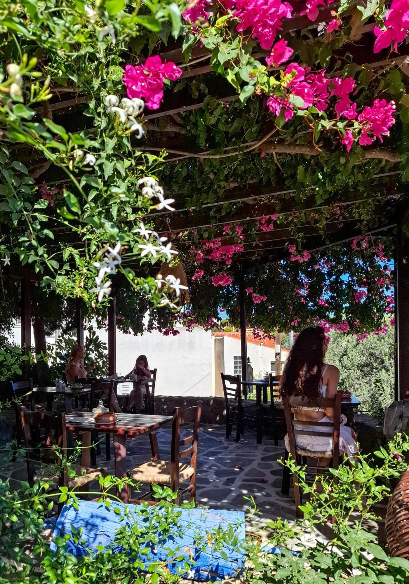 Vagia Traditional, Aegina Island Kültér fotó