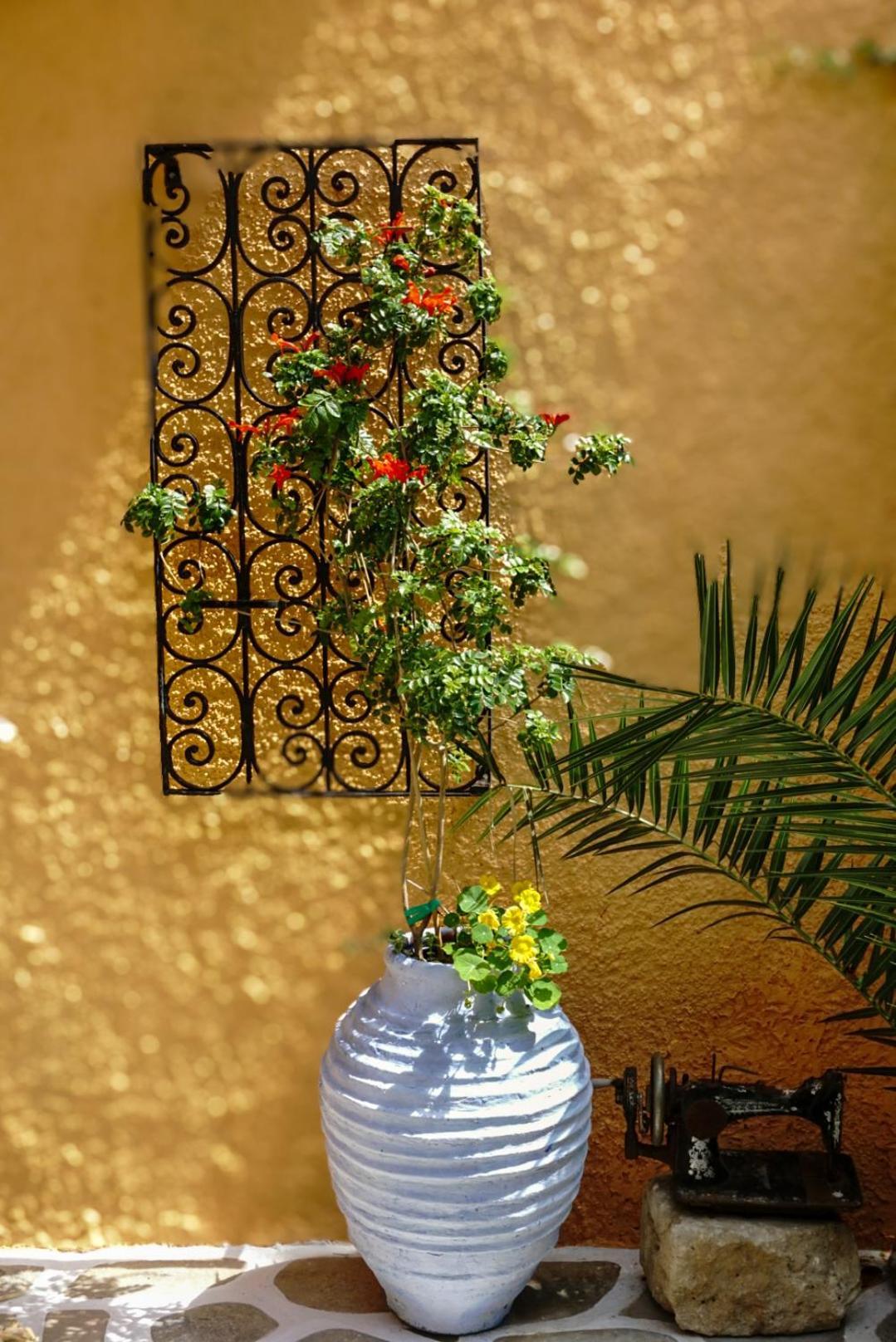 Vagia Traditional, Aegina Island Kültér fotó
